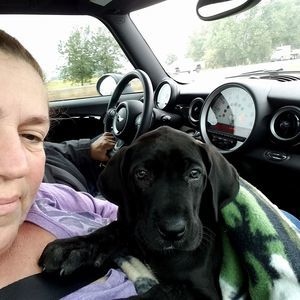 Meet your Posher, Michelle